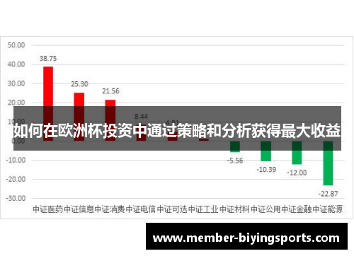 如何在欧洲杯投资中通过策略和分析获得最大收益